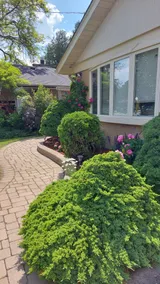 Private Apartment Close to Airport Toronto Pearson - Image 3