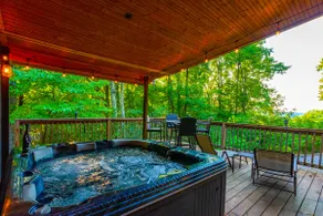 5BR, 3 Private Acres, 3 King BR, Hot Tub, Lakeview - Image 3