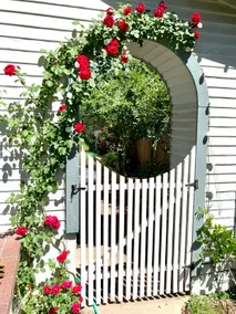 Charming University of Denver Cottage Apartment - Image 3