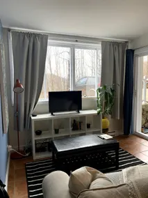 Condo entier, fully equiped. SKI, spa only summer - Image 2
