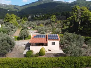 Green House - Vacation home with a large garden - Image 2