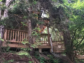 Trails + Porch + Near River | Woodland Cottage - Image 3