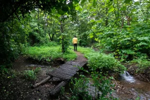 3BR-Autumn- w/Pvt Pool & Nature Trail - Wada - Image 5