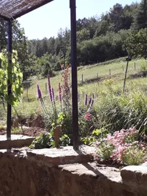 Gite south Ardèche Les Vans - Image 3