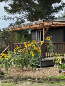 Garden home - Image 5