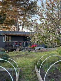 Garden home - Image 4