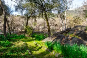 Benjamin's Riverside Hideaway - Image 5