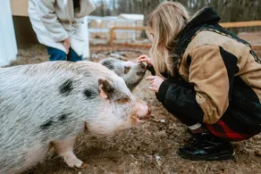 Animal Sanctuary on 10 Acres w/ Hottub and Sauna - Image 4