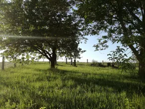 House Hutzelbuck in idyllic green location - Image 2