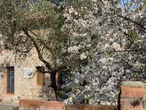 Romantic Escape in the Countryside. 10 minutes away from Lucca! - Image 5