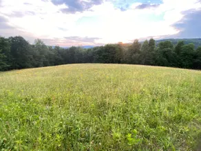 Alpenhof on 160 God's Acres, Great View, Sleeps 28 - Image 5