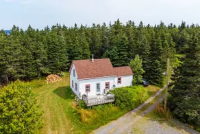 Relaxing Island Cottage on 3 acres w/ ocean view - Image 3