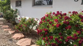 ***Comfy Dam House, RV & Boat Parking*** - Image 4