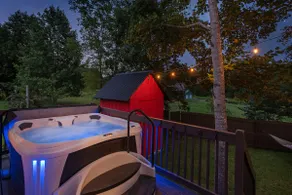 Cozy Cottage Avl - Image 4