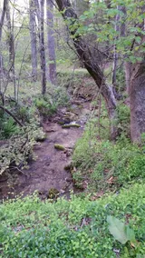 Mountain House on Simpsons - Image 5