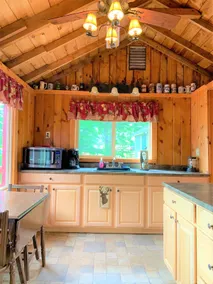 Lakefront Cabin on Caroga Lake, NY - Image 4
