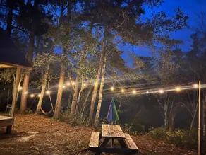 Creekside Cabin with 2 beautiful private sandbars - Image 5