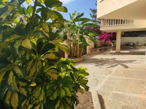 ES GANXO HOUSE PORTO CRISTO - Image 5