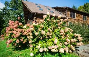 An Enchanting Log Cabin in the Heart of Catskills - Image 4