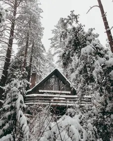 Whiskey Creek Cabin - Image 3
