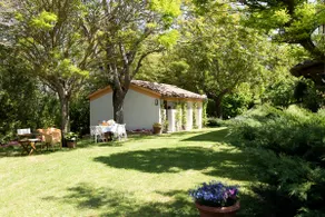 The perfect place to enjoy Le Marche - Image 4