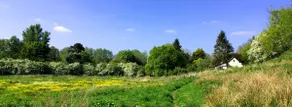 Idyllic Detached Country Cottage Church Minshull - Image 2