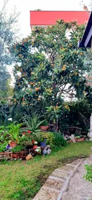 CASA AGATA A DUE PASSI DAL MARE - Image 2