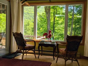The house under the trees - Image 5
