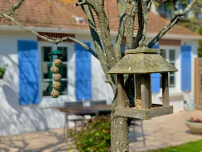 Single-storey house, garden in the heart of Cabourg - Image 4