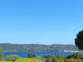 Lovely "Provence" villa with sea view, private heated pool and beautiful garden - Image 2