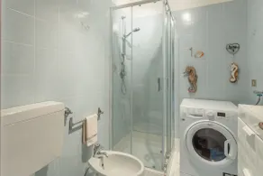 The Seahorse - Image 3