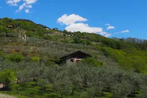 fantastic villa in the Valtellina Alps - Image 3
