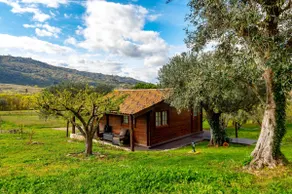 Quinta do Quinto - Oliveira House - Image 3
