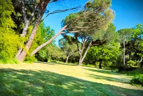 Cottage - Lagoon access - Terrace - Image 4