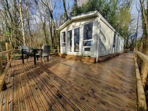 Secluded Woodland Lodge | Pool, Hot Tub & Sauna - Image 5