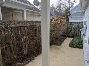 Beautiful Home in Safe Downtown Memphis Community - Image 3
