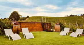 Madama Langa Country House con piscina nelle vigne - Image 2