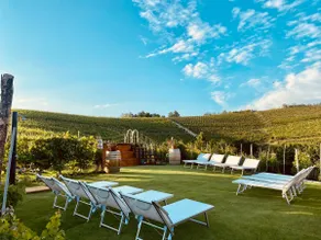 Madama Langa Country House con piscina nelle vigne - Image 3
