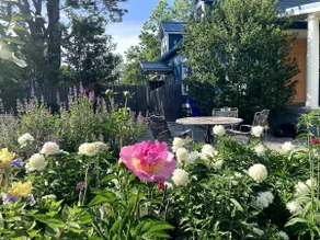 The Blue House and Gardens: Unit 2 - Image 2