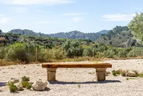 Rural Retreat | Pool, BBQ & Absolute Peace - Image 5