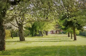 Large gîte • Ideal for professional teams & families • 7 people - Image 5