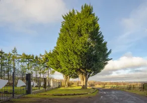 The Tranquil Retreat Countryside Escape - Image 2