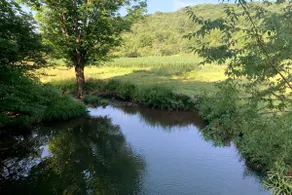 Spacious Streamside Farmhouse in Pastoral Bovina - Image 4