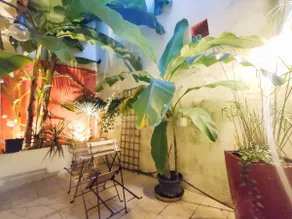 Your Stopover - Jungle Sauna & Spa - Image 4
