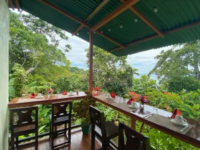 Beautiful House With Panoramic View of the bay and Gardens - Image 4