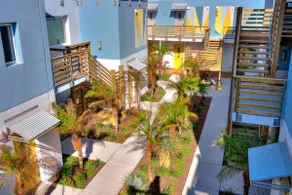 Lively Beach 1BR2BA Suite - Sleeps 4 - Image 4