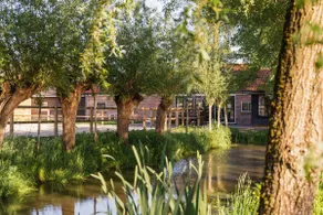 Detached holiday home (6p) on farm - Image 4