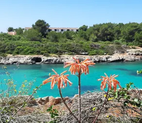 SCHÖNES DUPLEX IN CALA SANTANDRIA-CIUTADELLA MIT POOL UND WIFI - Image 2