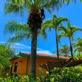 Slow M'Ocean in the Heart of Manuel Antonio 3 bed 3 bath - Image 5