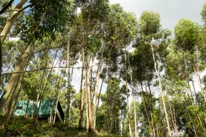 FIGO Container in the midst of nature in Serra Gaúcha - Image 2